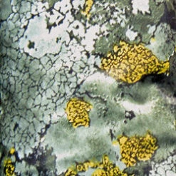 The Jervenbag Repair Kit - Mountain Camo